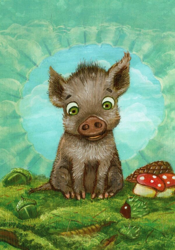 Boar