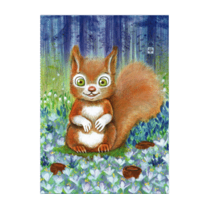 squirrel