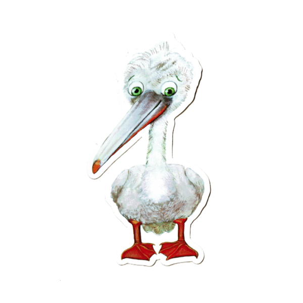 pelican