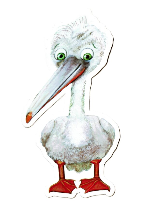 pelican
