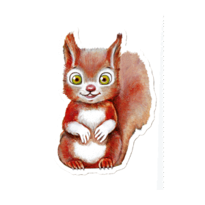 squirrel