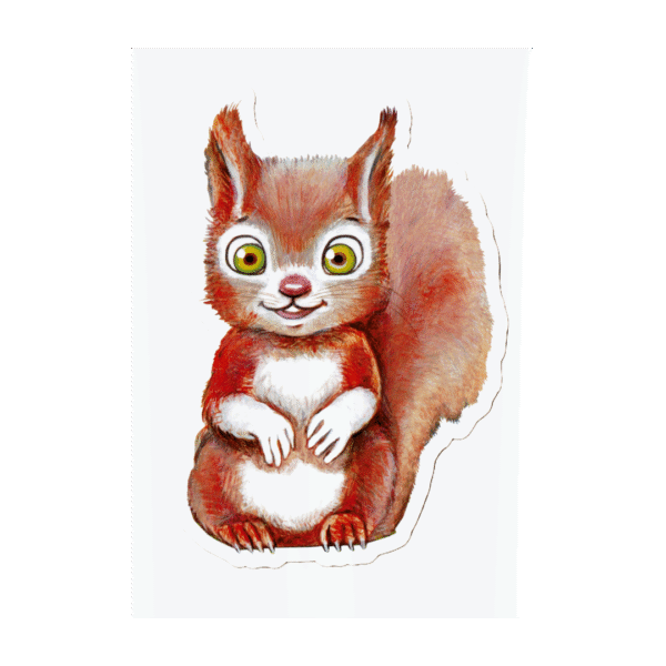 squirrel