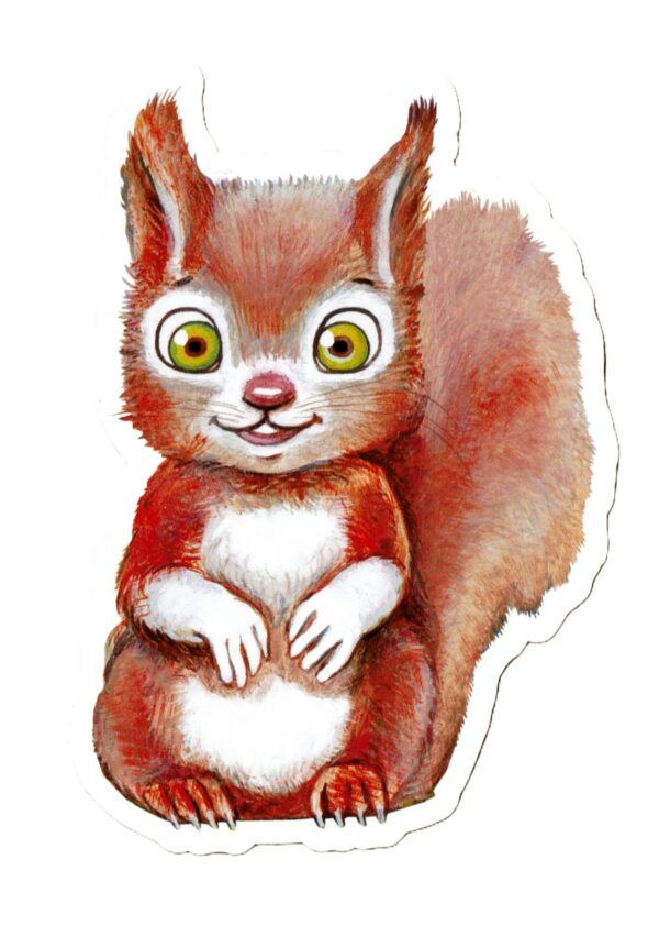 squirrel