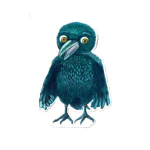 raven
