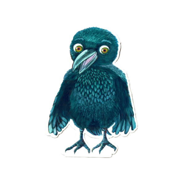 raven