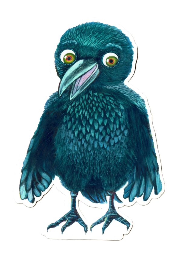 raven