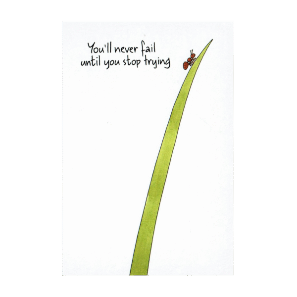 don’t give up