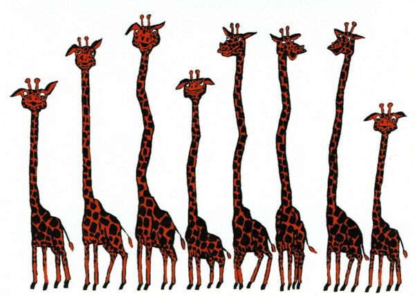 giraffes