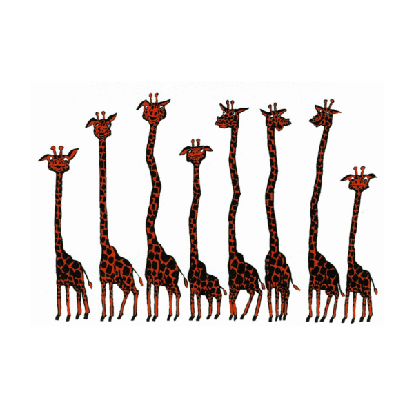 giraffes