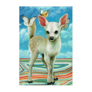 Postcard Comet, Camilla d'Errico