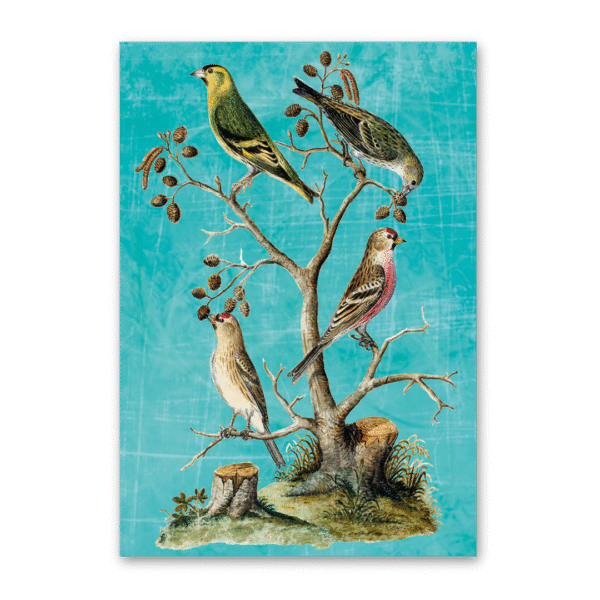 Postcard Vögel Mitteleuropas, Johann Friedrich Naumann
