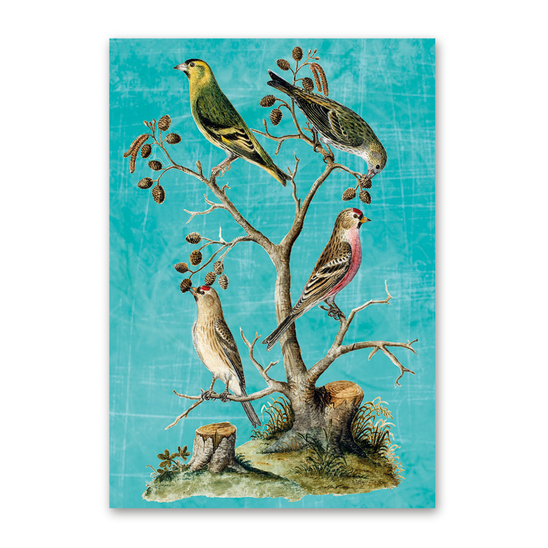 Postcard Vögel Mitteleuropas, Johann Friedrich Naumann