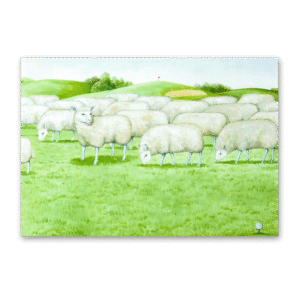 Postcard So near, yet so far, Rebecca Campbell