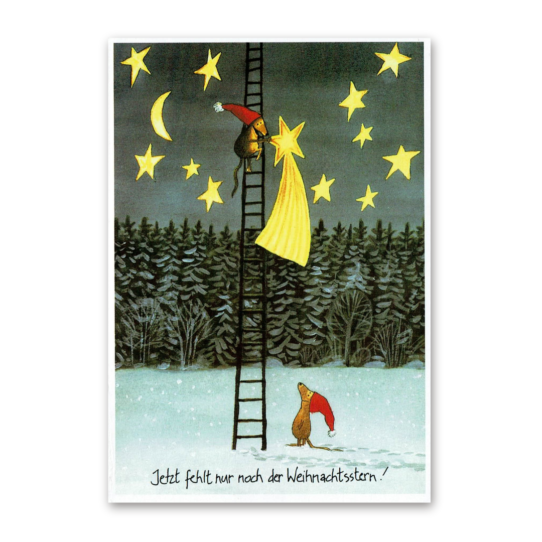 Postcard Weihnachtsstern, Sven Nordqvist