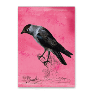 Postcard Vögel Mitteleuropas, Johann Friedrich Naumann