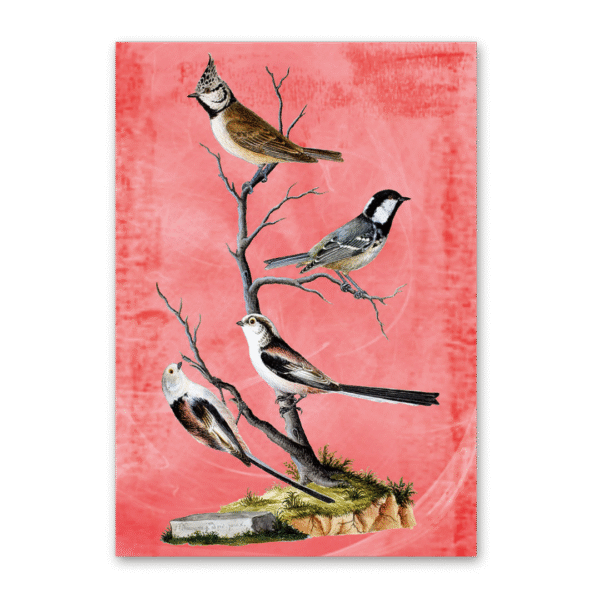 Postcard Vögel Mitteleuropas, Johann Friedrich Naumann