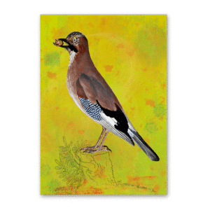 Postcard Vögel Mitteleuropas, Johann Friedrich Naumann