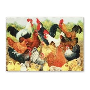 Postcard Hens, Pat Scott
