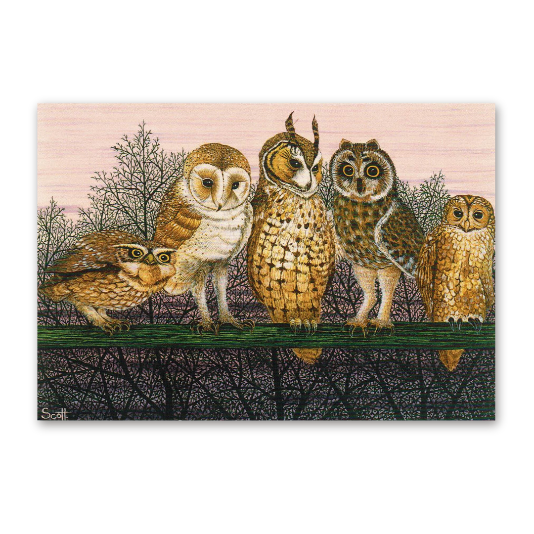Postcard Owl Talk, Pat Scott