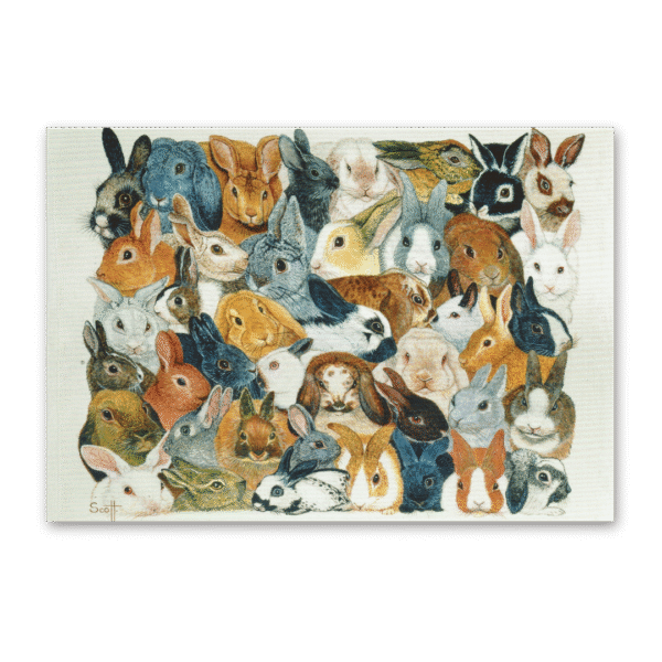 Postcard Rabbits, Pat Scott