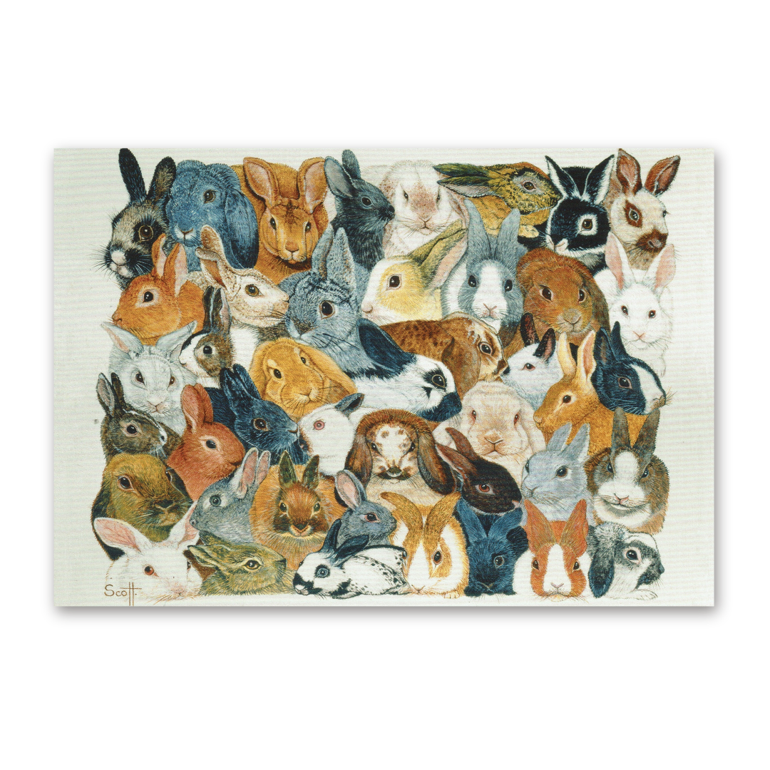 Postcard Rabbits, Pat Scott