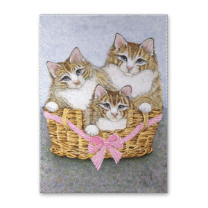 Postcard Kitten Sisters, Pat Scott