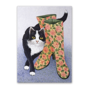 Postcard Hello, Pat Scott