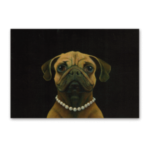 Postcard Pugmalion, Gavin Watson