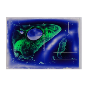 Postcard LAVAcard Blue-Green, Bizarr