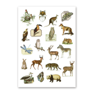 20 Sticker Bag, In the Mountains