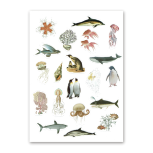 20 Sticker Bag, Island Song