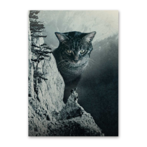 Postcard Katze am Berg, Superfreunde