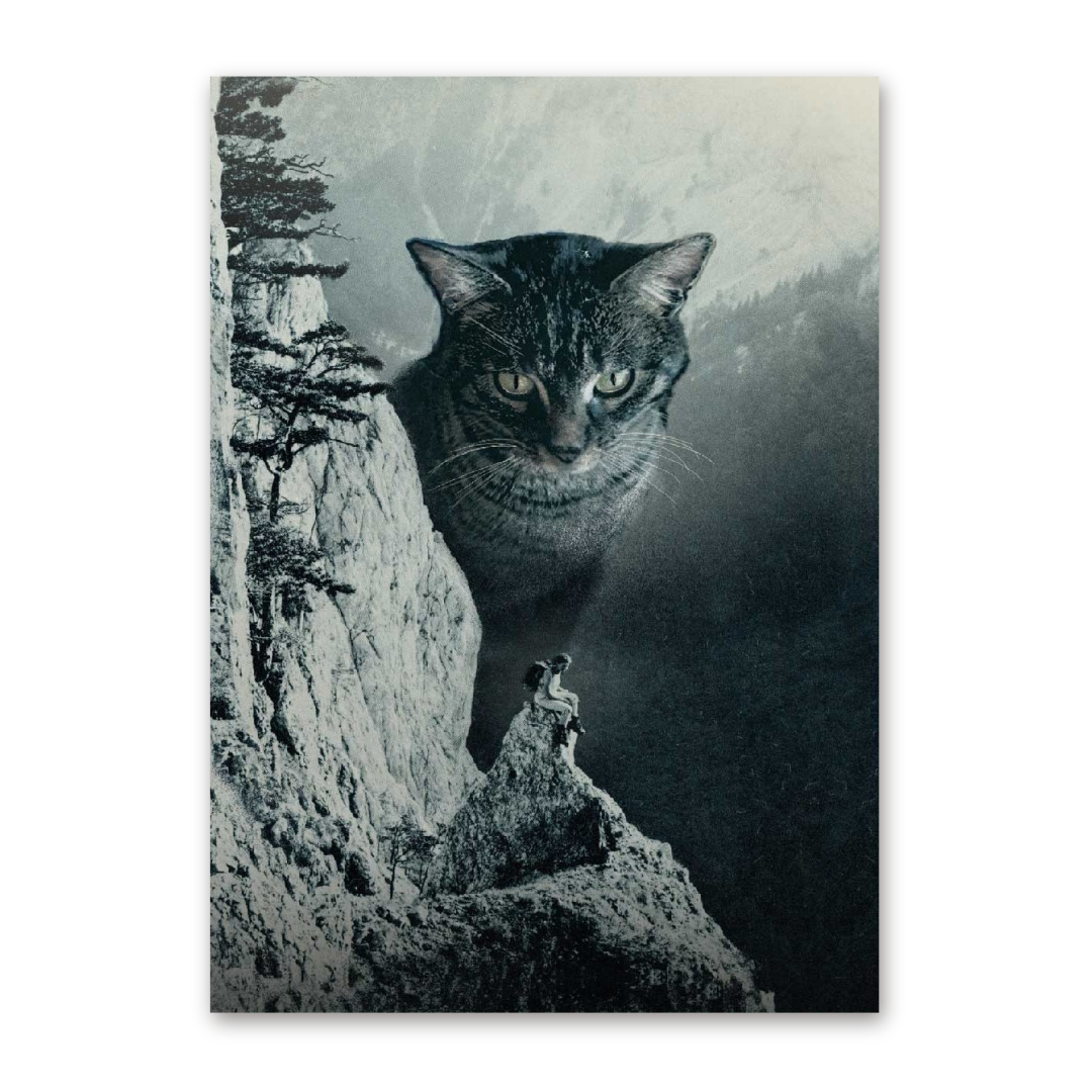 Postcard Katze am Berg, Superfreunde