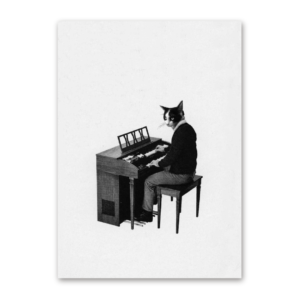 Postcard Piano, Superfreunde