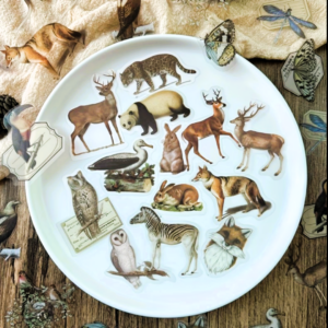 20 Sticker Bag, In the Mountains