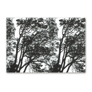 Postcard Marimekko