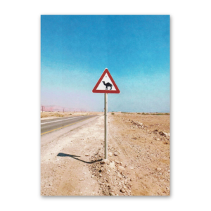 Postcard Accidentally Wes Anderson