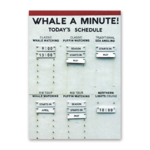 Postcard Accidentally Wes Anderson