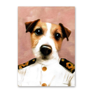 Postcard Jack, Tein Lucasson