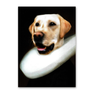 Postcard Doesjka, Tein Lucasson