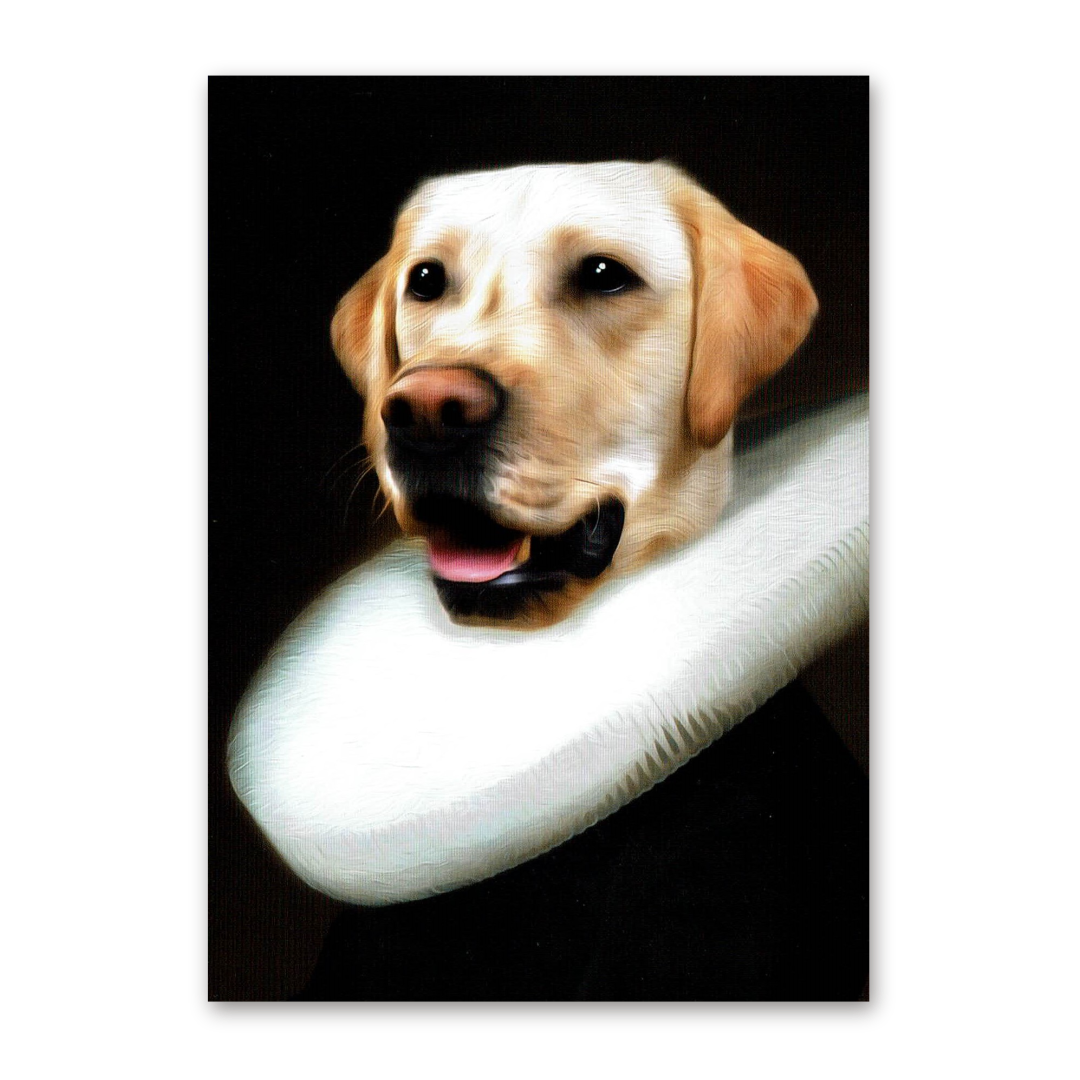 Postcard Doesjka, Tein Lucasson