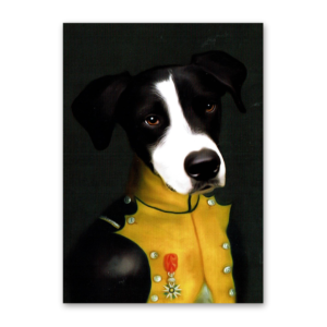 Postcard Boris, Tein Lucasson