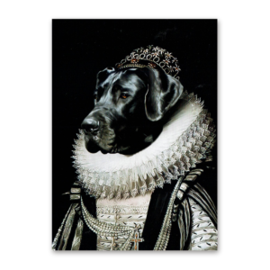 Postcard Zena, Tein Lucasson