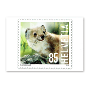 Postcard Animals on Swiss Postage Stamps