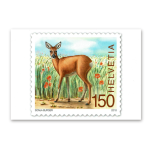 Postcard Animals on Swiss Postage Stamps