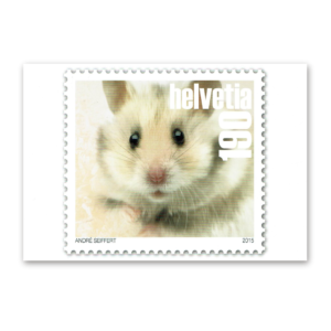 Postcard Animals on Swiss Postage Stamps