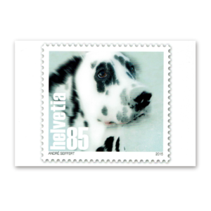 Postcard Animals on Swiss Postage Stamps