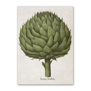 Postcard Artischocke, Garten von Eichstätt