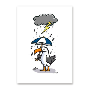 Postcard Gewittermöwe, Gernot Gunga