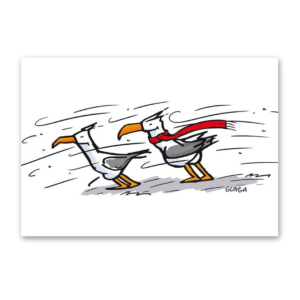 Postcard Sturmmöwen, Gernot Gunga